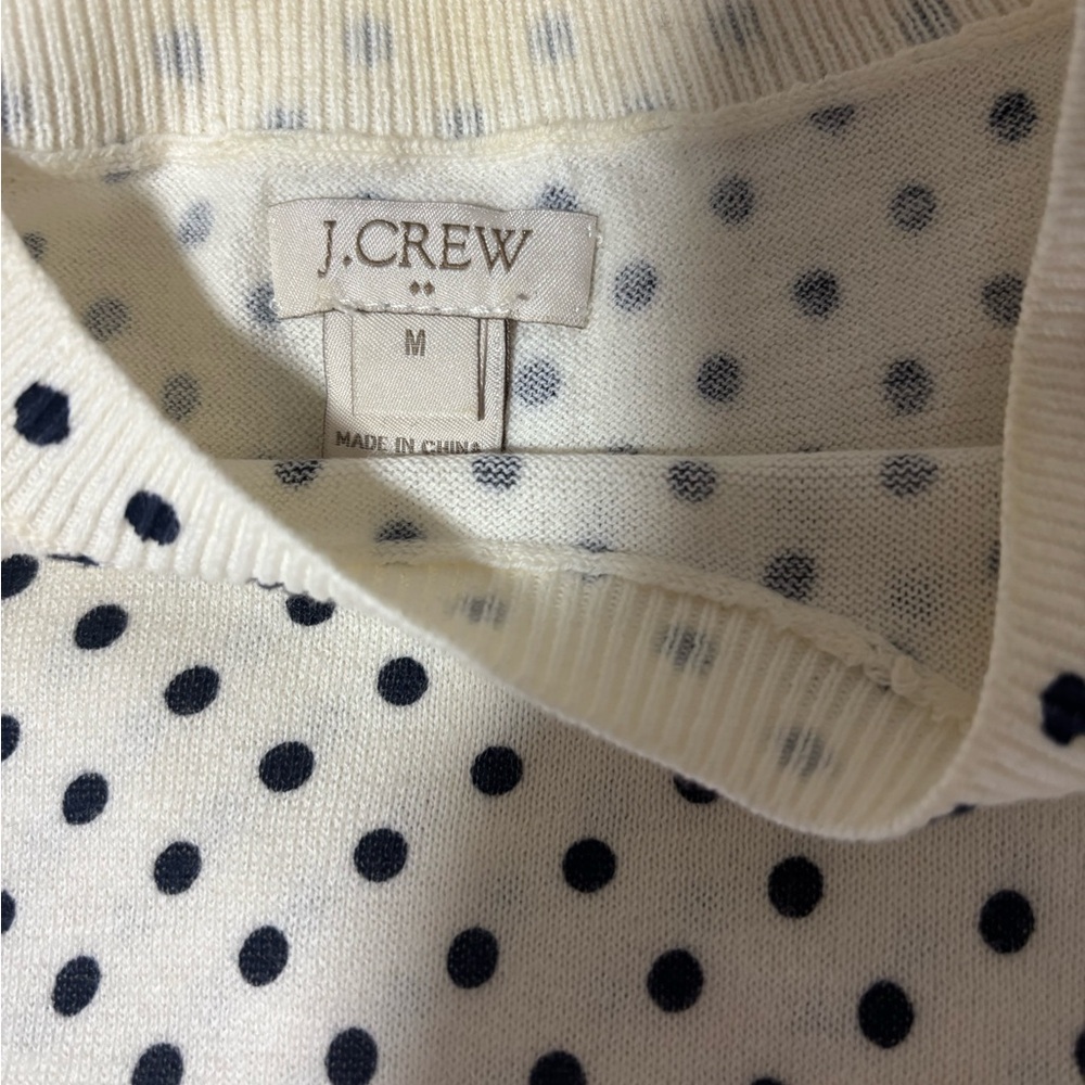 J. Crew Cream and Black Crewneck Sweater